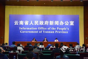 云南服務(wù)經(jīng)濟(jì)倍增計(jì)劃 科技中介服務(wù)成為未來主攻方向